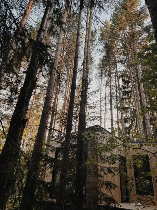 Глэмпинг «Dushevno House», фото 1