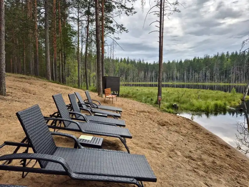Глэмпинг «Forest Lake», фото 2