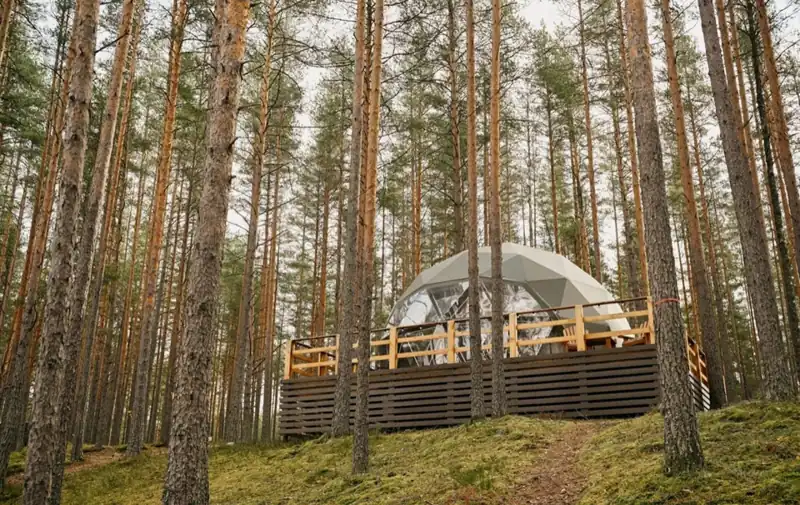 Купольная сфера 40 м² с панорамным окном