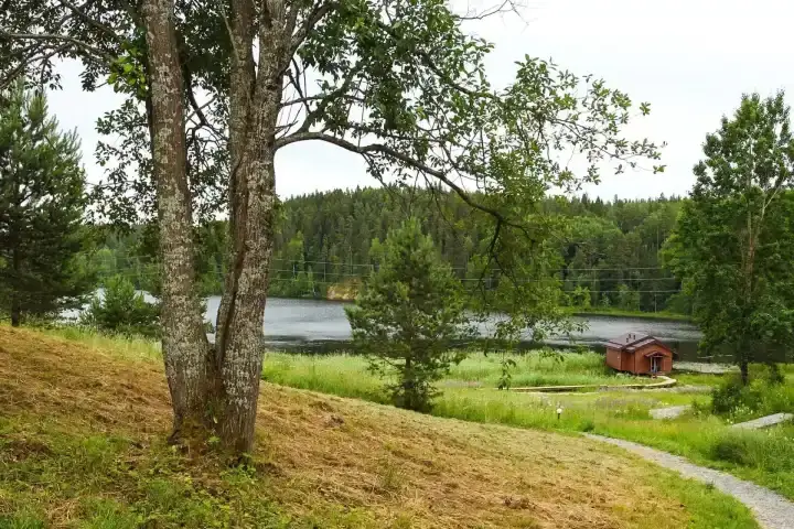 Парк-отель «Хутор Ярви», фото 3