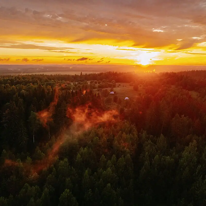 Глэмпинг «Папоротник Кэмп», фото 2