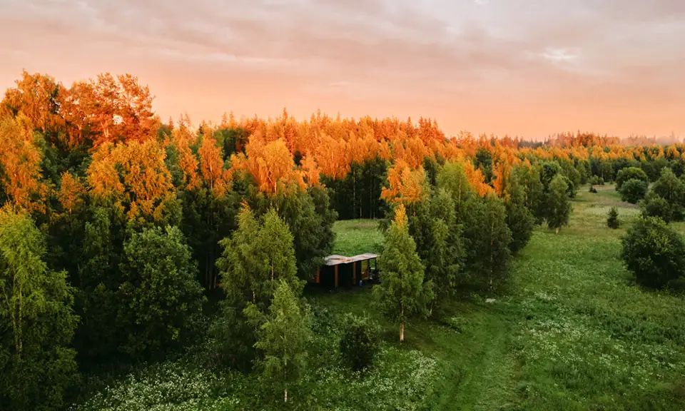 Глэмпинг «Папоротник Кэмп», фото 3