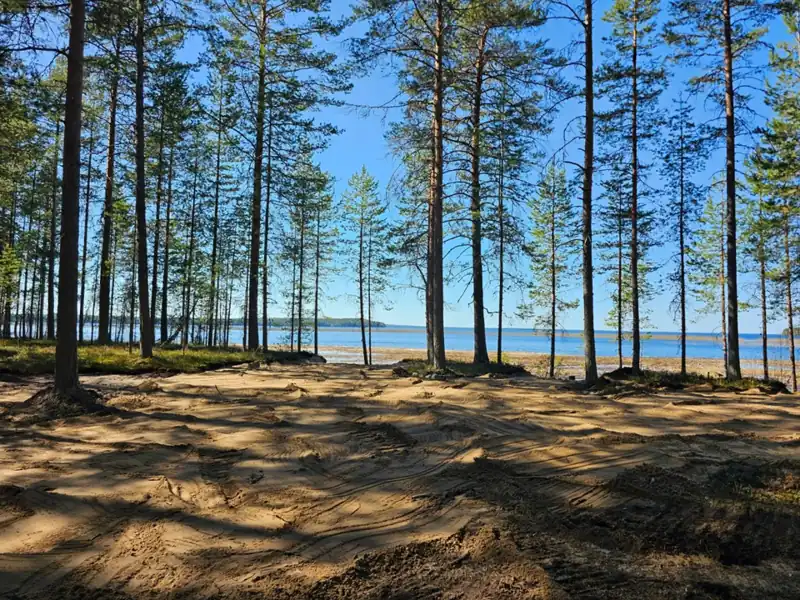 База отдыха «Северное Сияние» на Сямозере, фото 3