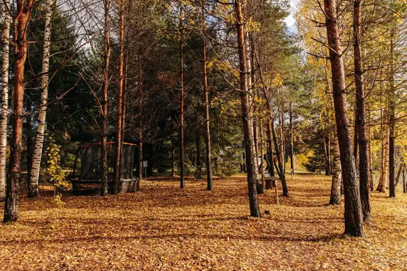 Эко-отель Harland на реке Шуя, фото 2