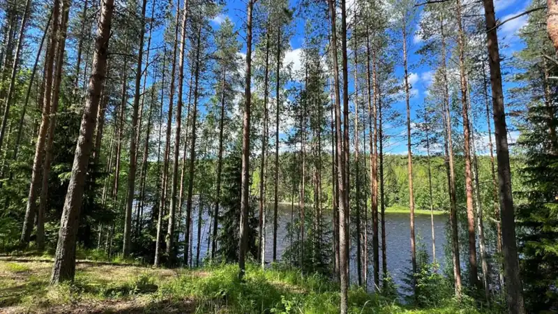 Туркомплекс «Карьяла Парк» на реке Шуя, фото 2