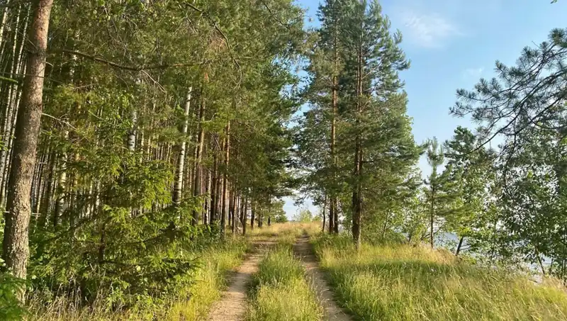 Глэмпинг «Берег Грифона» на Горьковском море, фото 3
