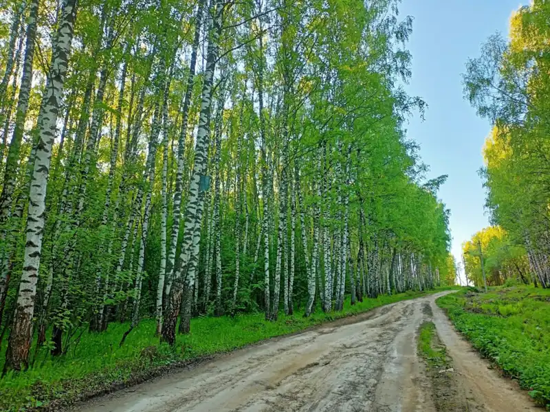 Инлес Хаус: дома с чаном и баней в Шумилово, фото 3