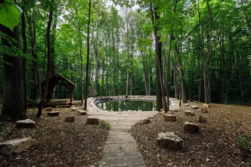 Загородный комплекс Odin House, фото 2