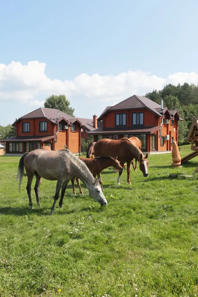 Загородный клуб «Свияга» на берегу Свияги, фото 3