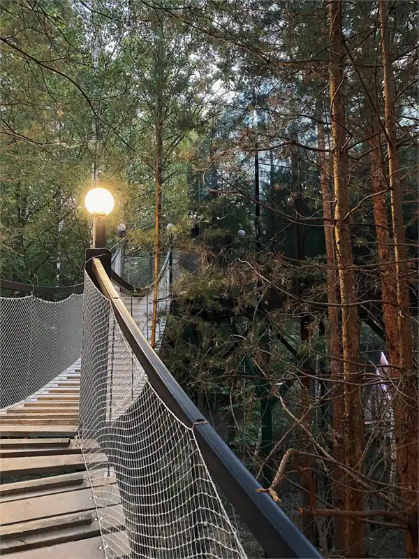 Зеркальный дом на дереве с подвесным мостом на высоте 6 м