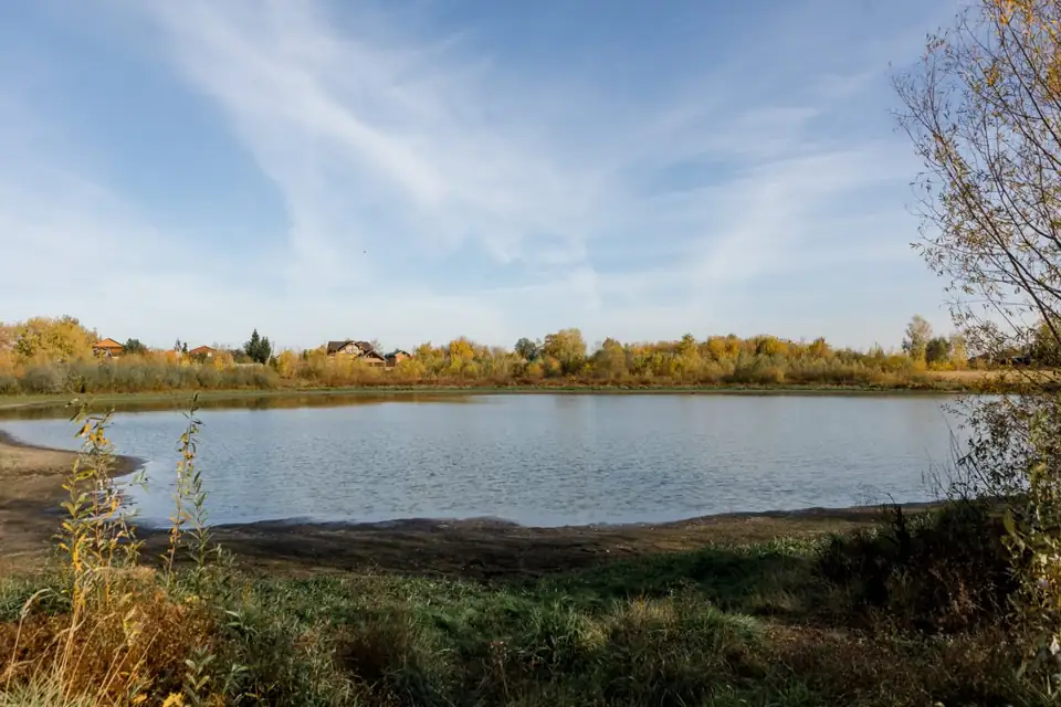 Глэмпинг Yal Home в Пиголях, фото 2