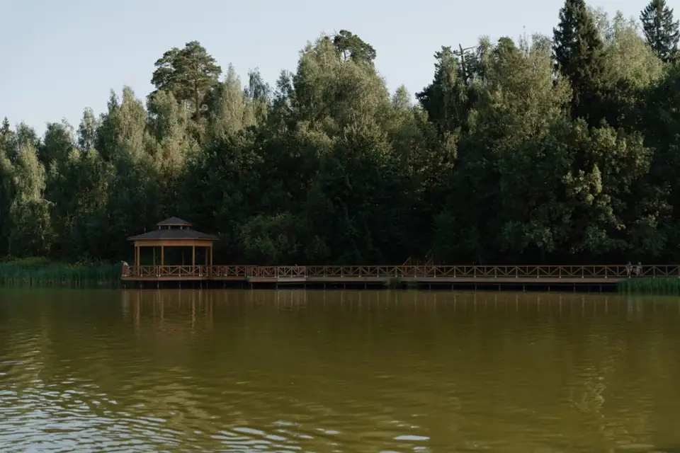 Усадьба Гребнево у Фрязино, фото 2