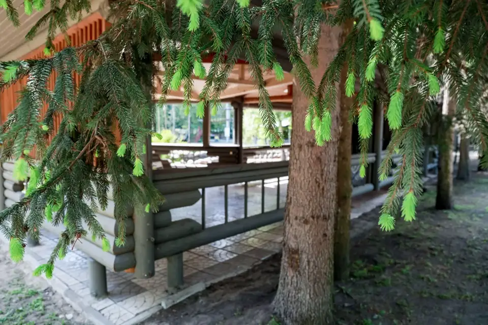 Загородный клуб «Солярис» у Осташковского шоссе, фото 3