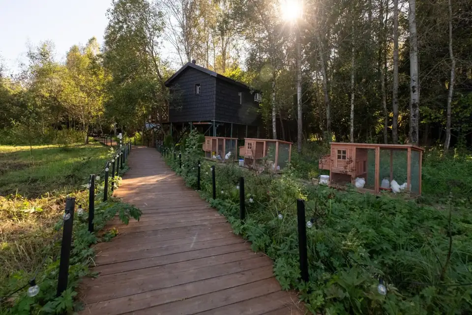 Глэмпинг «В Кронах» в Свистухе, фото 3