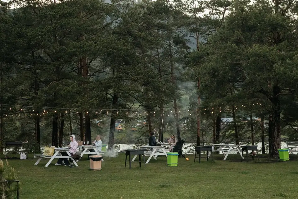 База отдыха Alteria на берегу Катуни в Чемале, фото 2