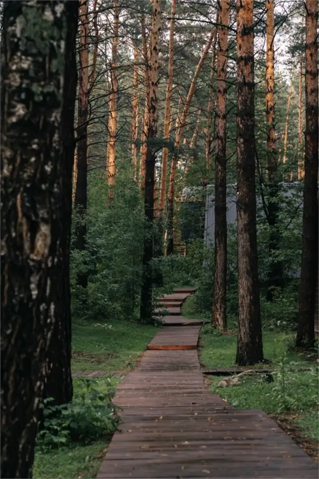 Горный отель Etnica на берегу Катуни, фото 3