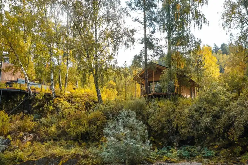 Панорамная студия с окнами во всю стену на Катунь