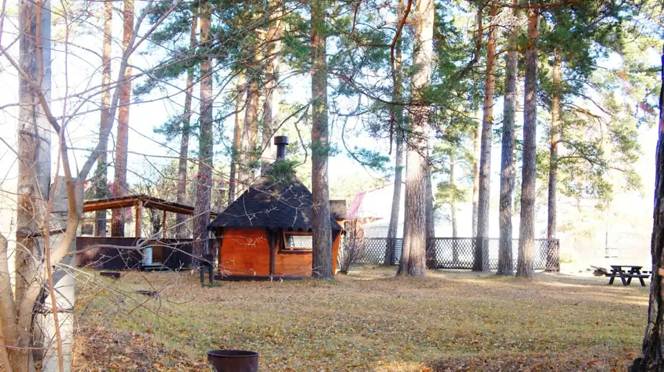 «Дача в соснах» в Курганово, фото 2