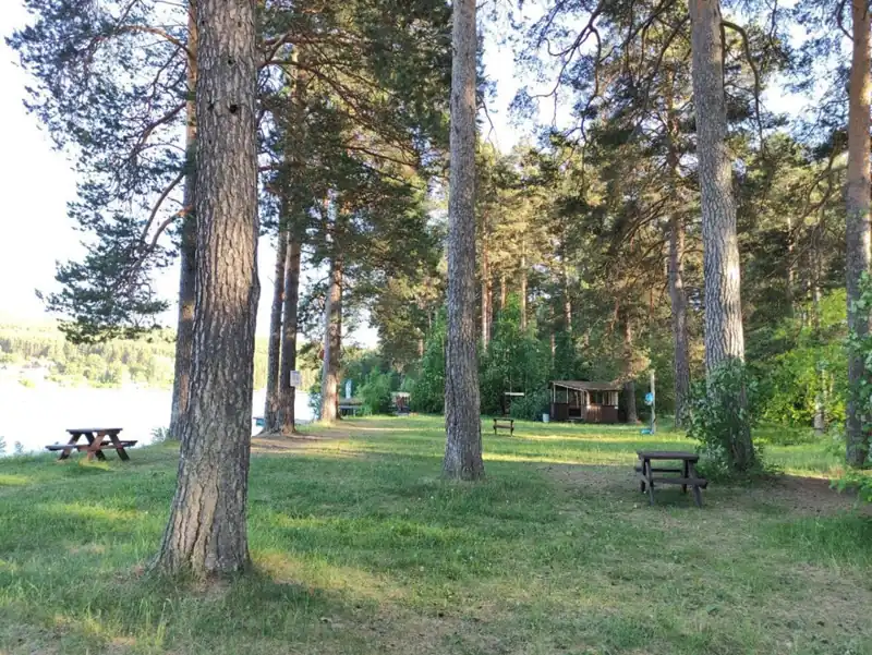 «Дача в соснах» в Курганово, фото 3
