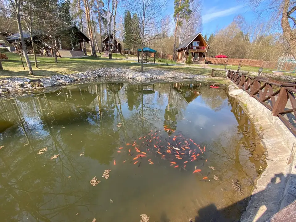 Парк-отель «Миллениум» в Велегоже, фото 2