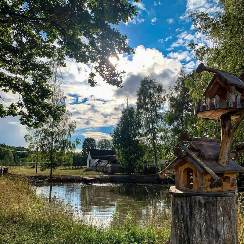Усадьба «Мордвеза» у лесного озера, фото 3