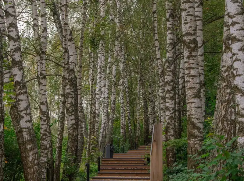Загородный отель Just WOOD на реке Осётр, фото 2