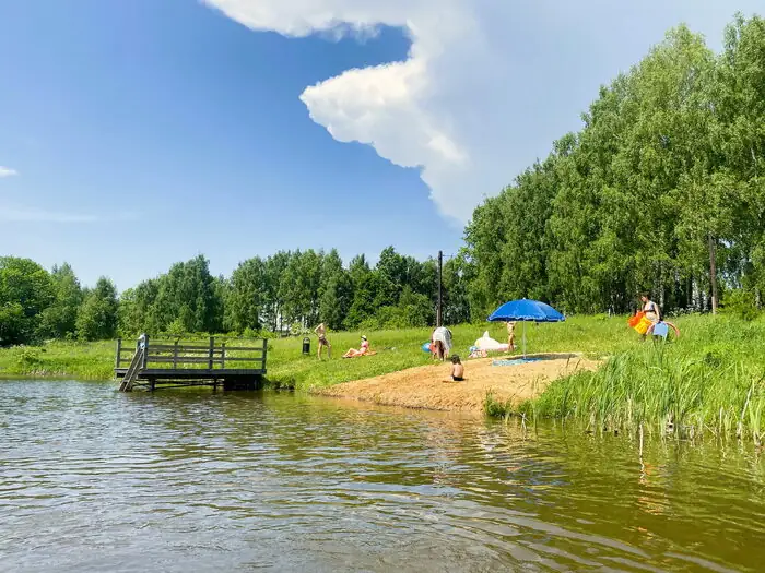 «Лапочкино гнездо»: дома на деревьях под Мордвесом