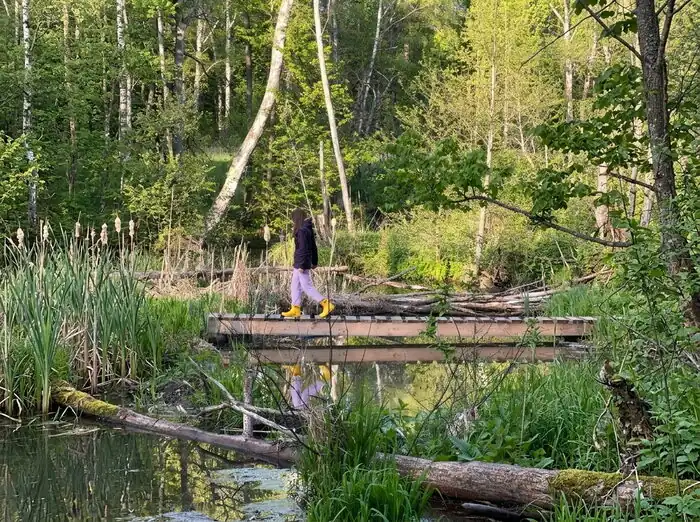 «Лапочкино гнездо»: дома на деревьях под Мордвесом, фото 2