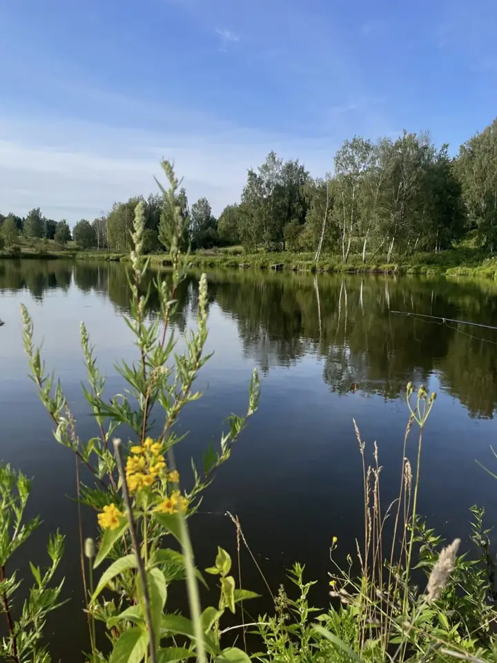 «Лес & Озеро»: дома у рыбных озёр в Венёвском районе, фото 2