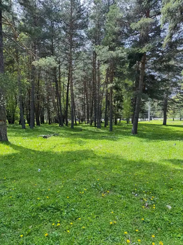 База отдыха «Азгард» в Архызе, фото 1