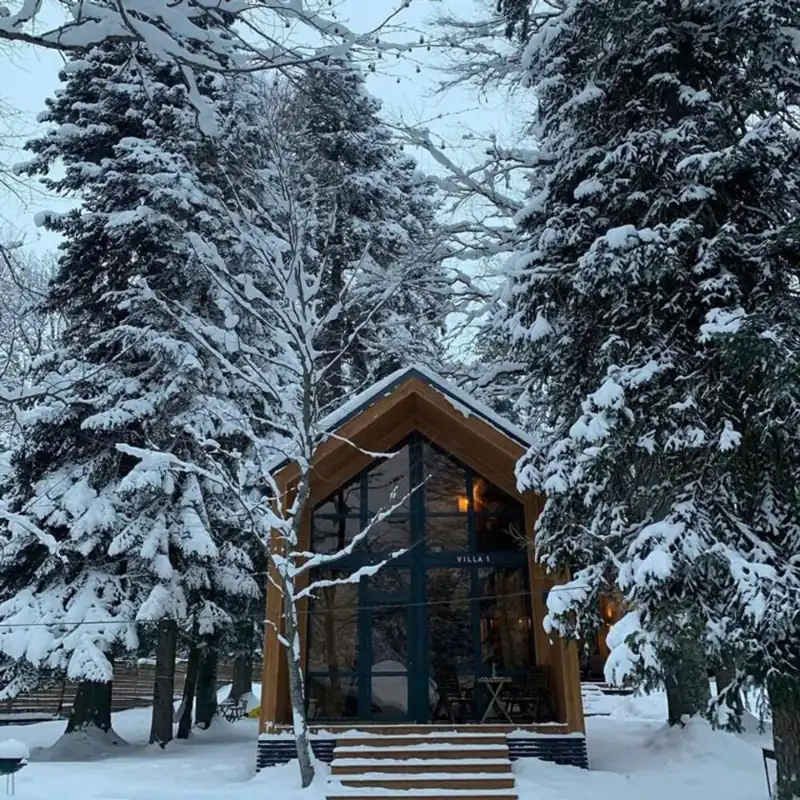 Dreamland Villas в Архызе, фото 1