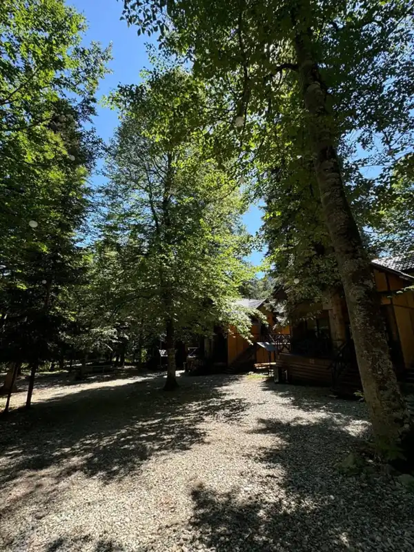 Шале Green Forest в Архызе, фото 3