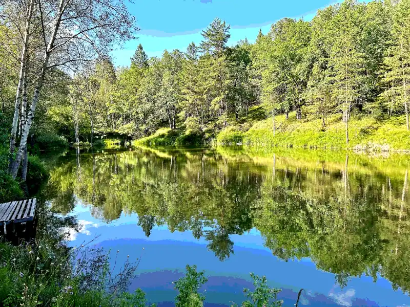 Агроглэмпинг «Форель» в Новом Буяне, фото 1