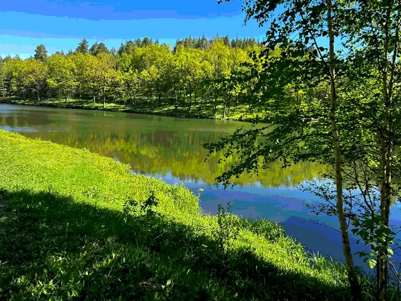 Агроглэмпинг «Форель» в Новом Буяне, фото 2