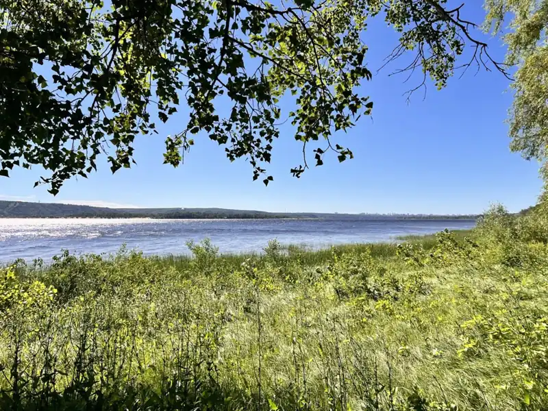 Глэмпинг Gavrusha Glamp в Гавриловой Поляне, фото 3