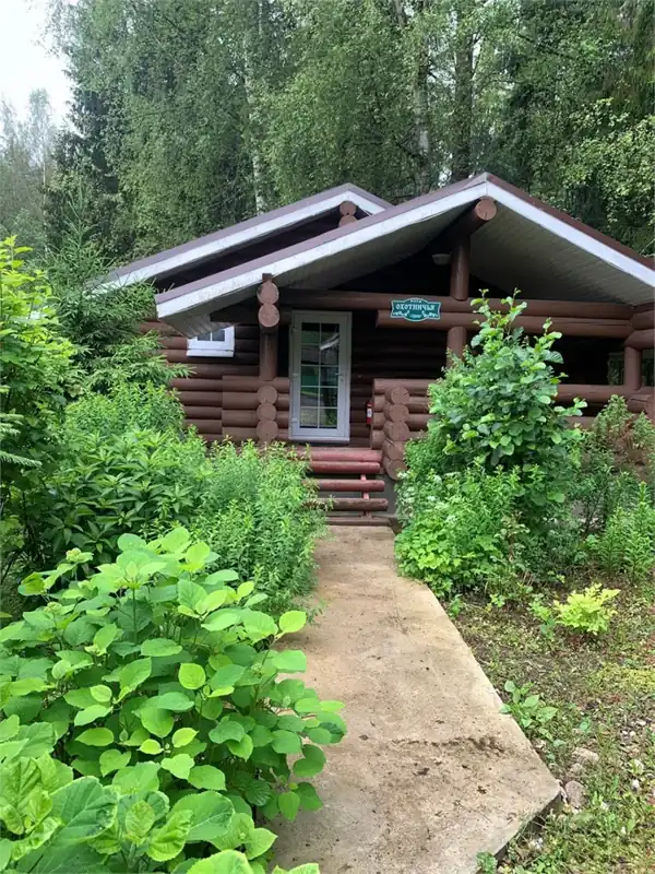Green Forest Ecoclub: бревенчатые избы в лесу у Волги, фото 3