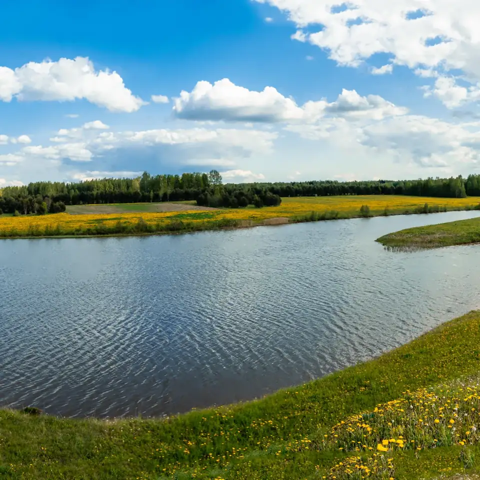 База отдыха «Королевская охота» в Погорелом Городище, фото 2