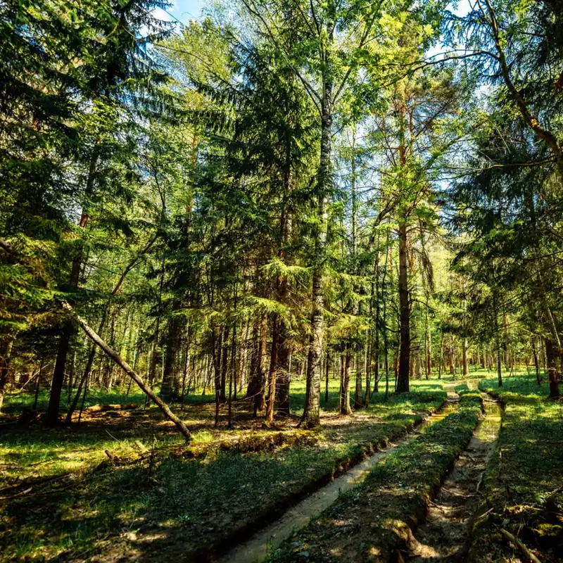 База отдыха «Королевская охота» в Погорелом Городище, фото 3