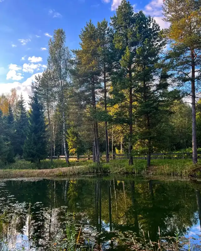 Парк-отель «Заповедник впечатлений Тованово» на Орше, фото 2
