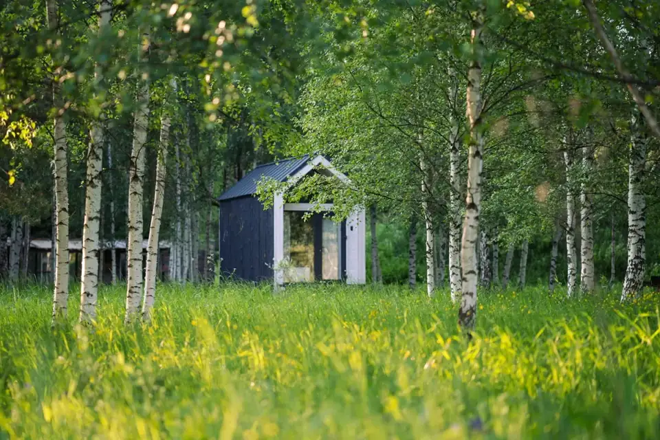 Барнхаус «Лесная студия» с панорамным остеклением и антресолью