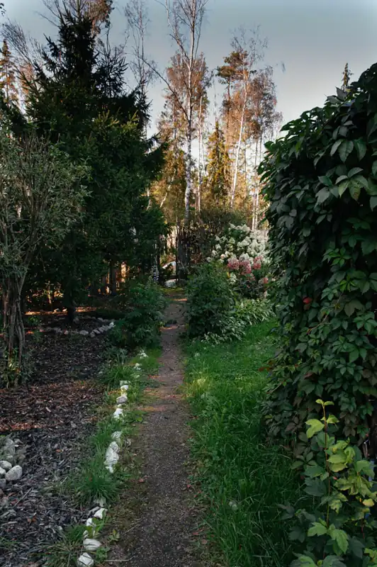 Лопановичъ Spa PARK, фото 3