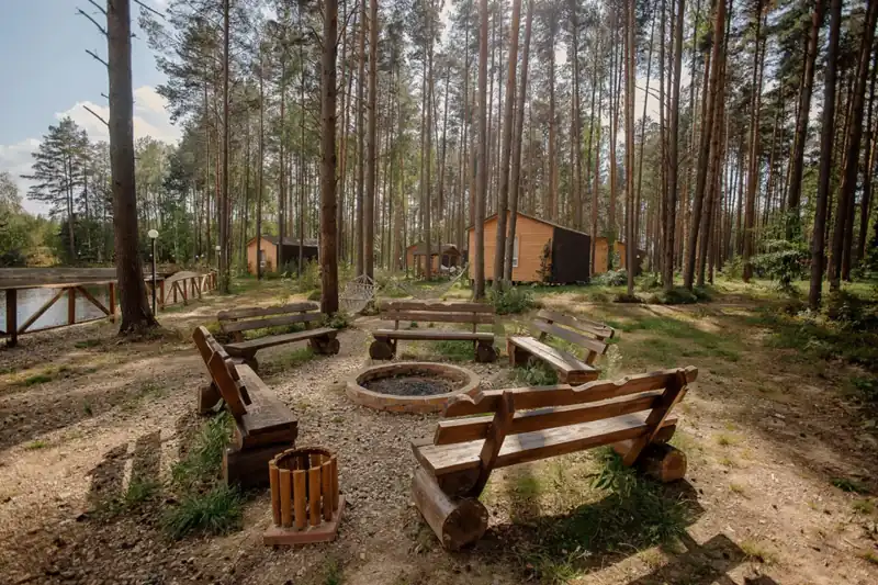 База отдыха «Sherwood Park Hotel» в сосновом лесу под Некрасовским, фото 2