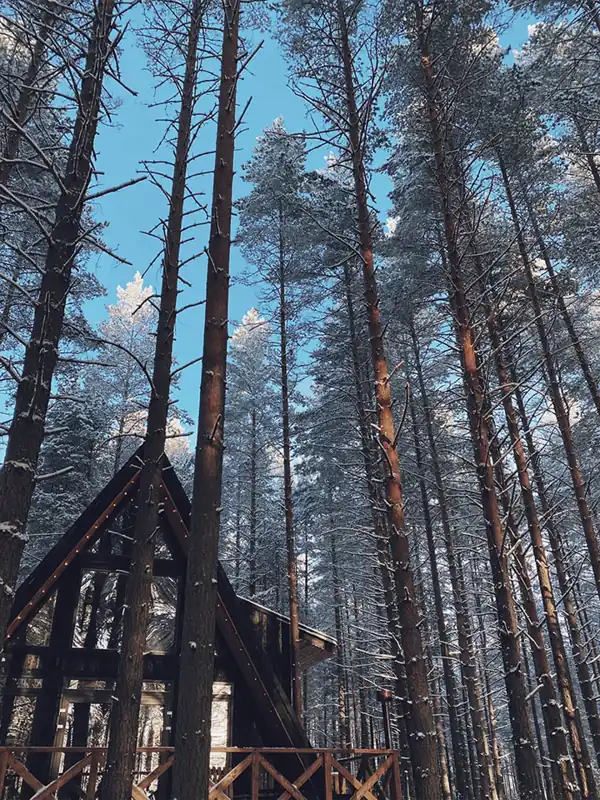 Дом «Vuoksa» с двумя санузлами и кедровой банькой на 6 гостей