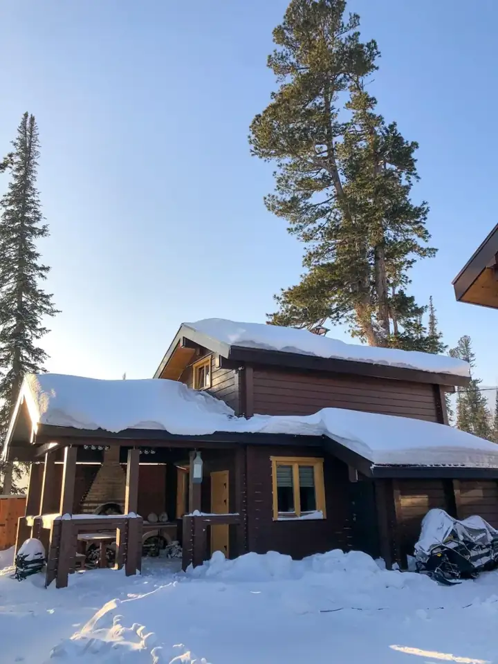 Эко-комплекс «Grizzly house» среди кедров, фото 3