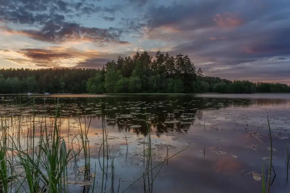 Загородный клуб «Давинчи Парк» у Борисовского озера, фото 3