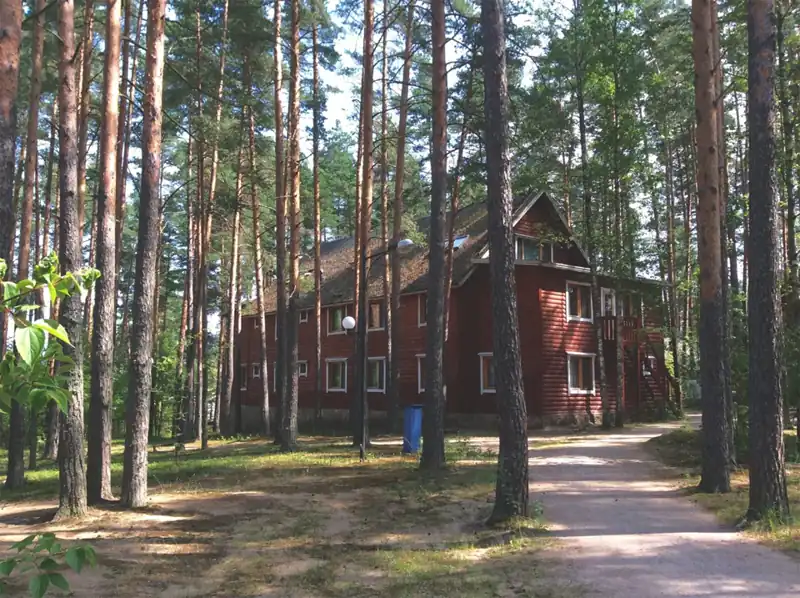 Комплекс коттеджей Green Village в Оврагах у Лосево, фото 3