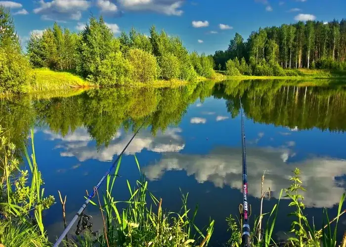 База отдыха «Шале Рояль» на озере Краснофлотское, фото 2