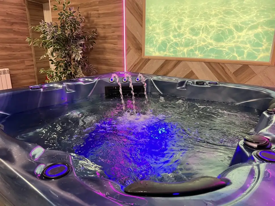 SPA-отель «Алсма» в сосновом лесу под Бором, фото 3