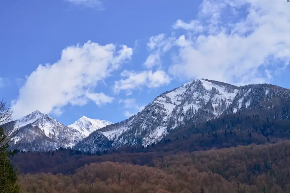 Глэмпинг «Дзен Рекавери» в Красной Поляне, фото 3