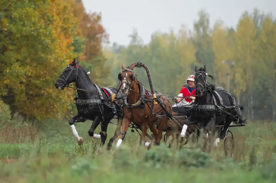 Фермерский курорт «Богдарня» в Крутове, фото 2